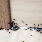 iStock-940184998.jpg