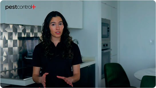 video1.jpg